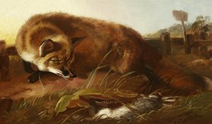 Zorro, c.1880 de Walter Harrowing